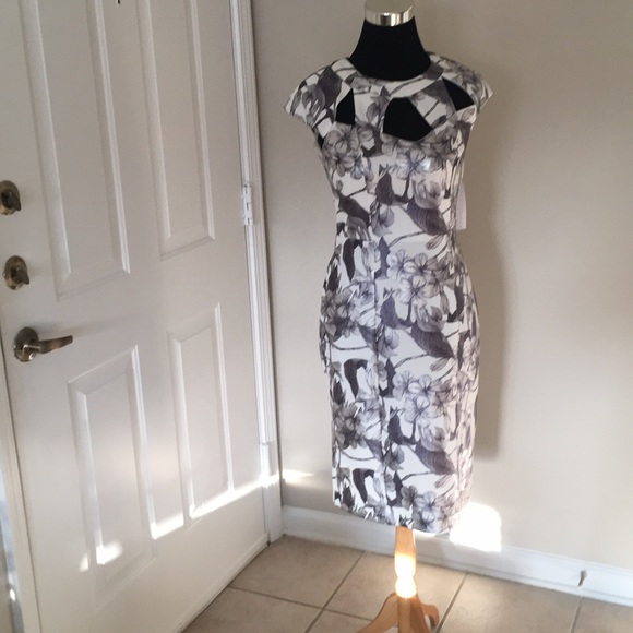 Women’s Dress - Size 12 - Picture 2 of 3
